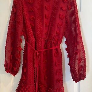 Elegant Red Textured &Merci Dress